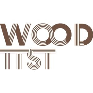 logo ws